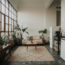 appartement avec des plantes